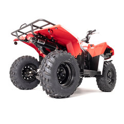 King Quad 400