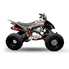 Raptor 250